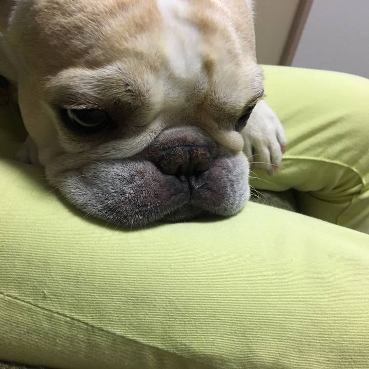 79f6068b fa41 42af b92d cabf642d9172