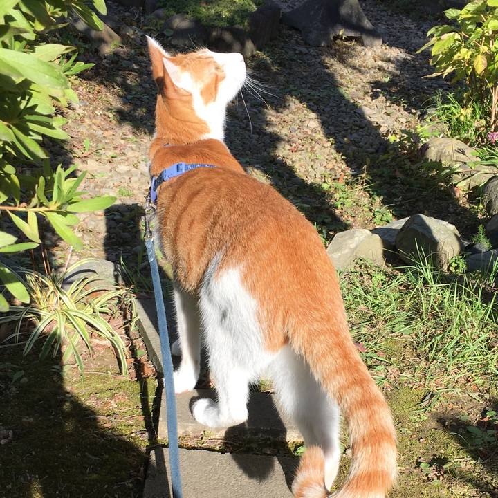 79f60aec 8fbb 439b 9be1 e6ef38908927