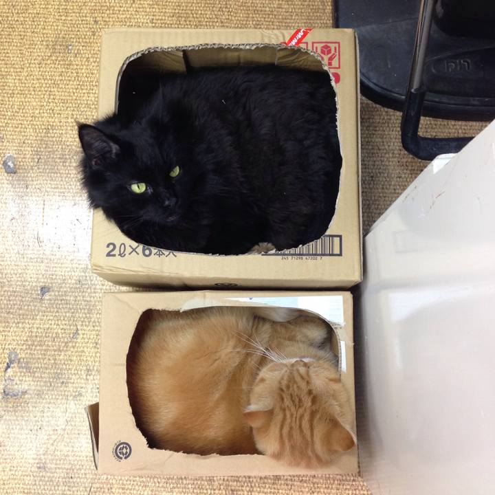 79f67b62 34ef 45b6 81ad 3b4b2d594db7