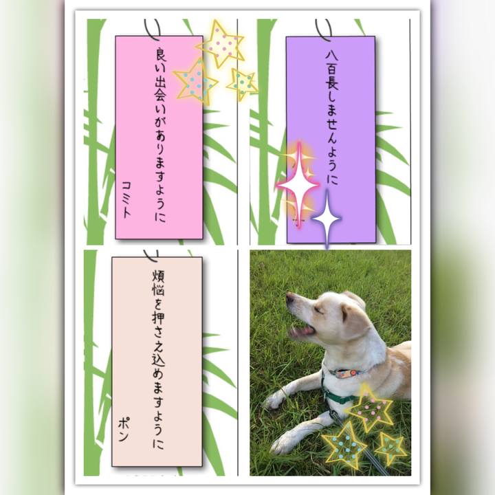 79f70d35 0e82 42a4 95f3 bd0aad875a25