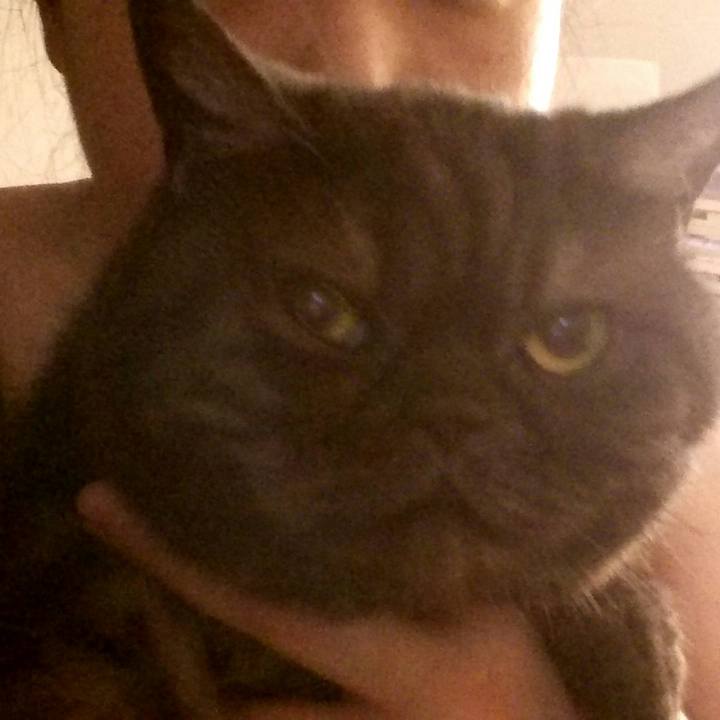 79f7285b fdc6 4366 9645 f78e503cebbd