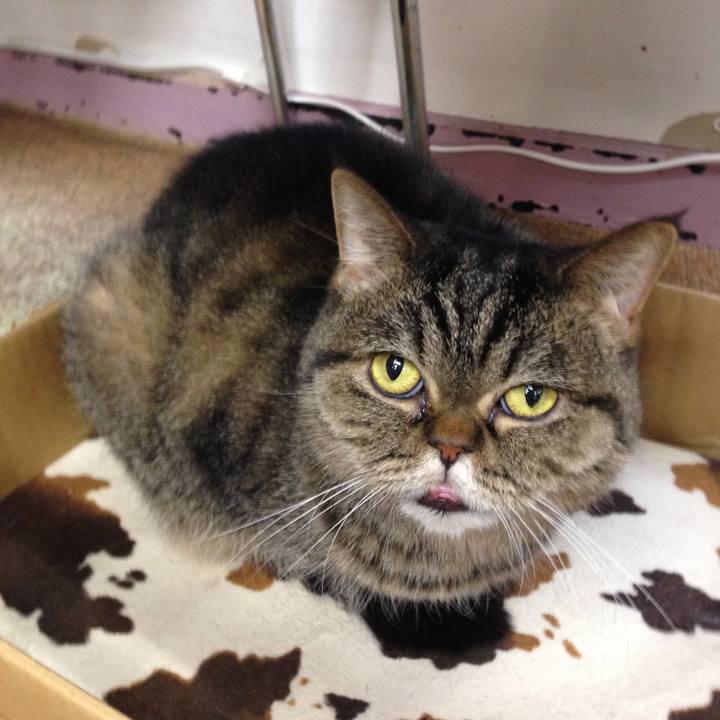 79f737f5 c7fb 41e0 bbce d16abbb40dc9