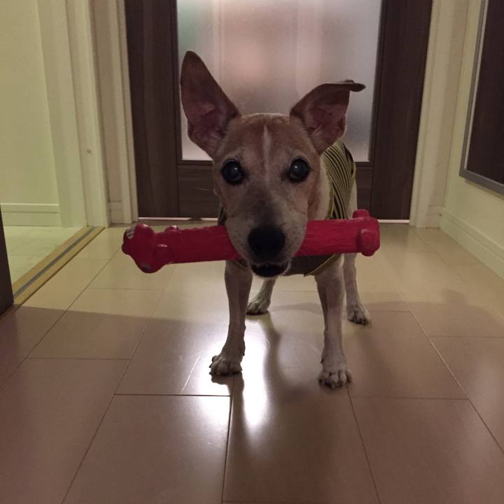 79f75a35 3ca6 4333 87cc d79247dbbfaa