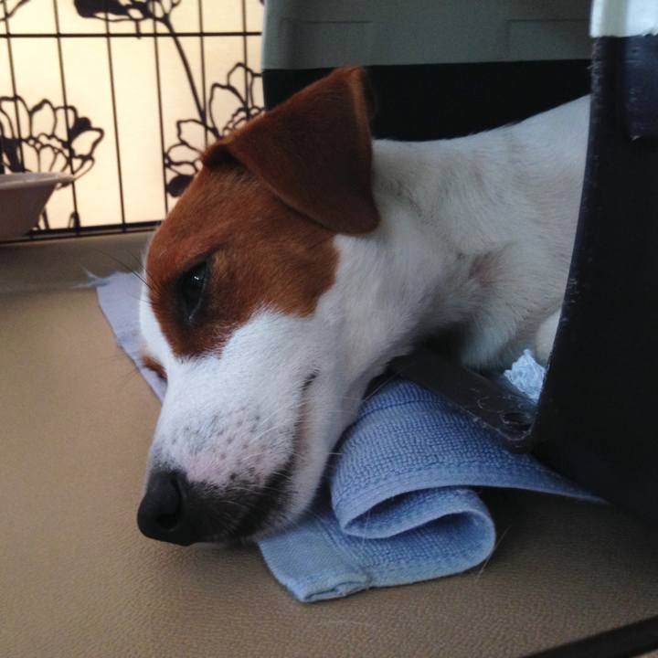 79f79881 189b 4a4b 9a79 325061185d2f