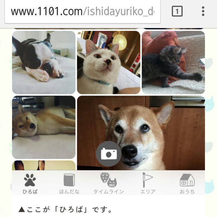 79f82a1d 00d6 4942 86cc 417aa3a688ce