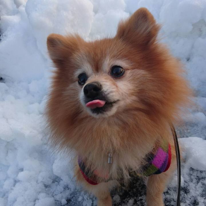 79f846bf 6d9f 418e 842a 2090af7fae90