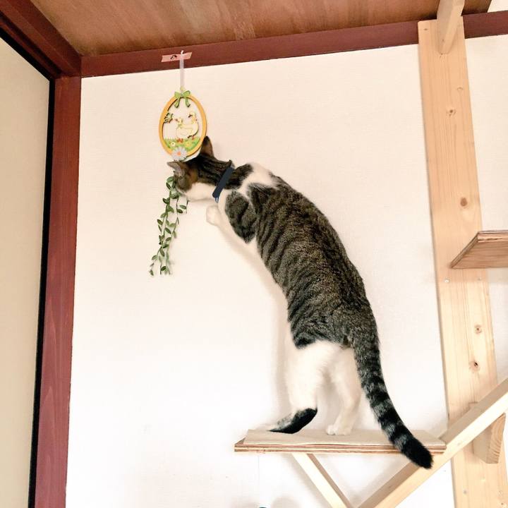 79f90704 e89b 4848 a68c 849c84db3f79