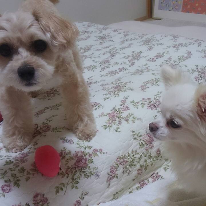 79f94042 e92a 4d9e aec1 4164a41a4170