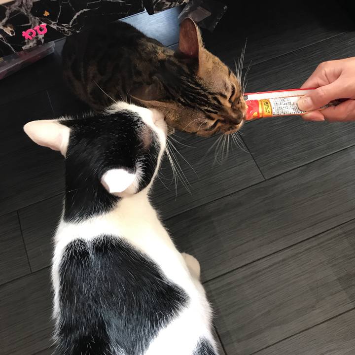 79f9bc5f c723 42e4 a9ab 5a1bb6adeae4