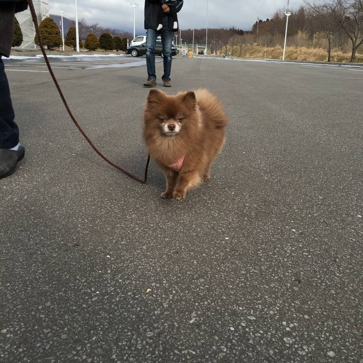 79f9c6b3 c4f0 485b b1b6 22eb773951a4