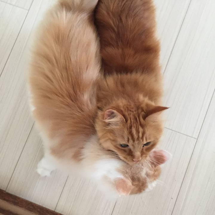 79fa4a8d 2b50 4e4c b5fc 9d9585e3f0ae