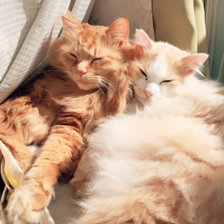 79fab093 3f5c 41fc aaa6 17dc3356b829