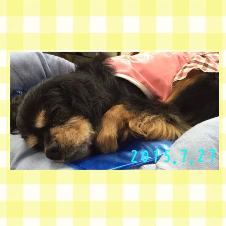 79fb1307 8535 4312 8711 4e5dd7fc78fc