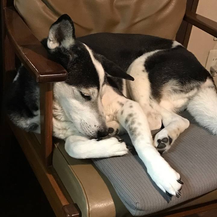 79fb376e 5f78 47dd b7bf ba66dbd19b3e