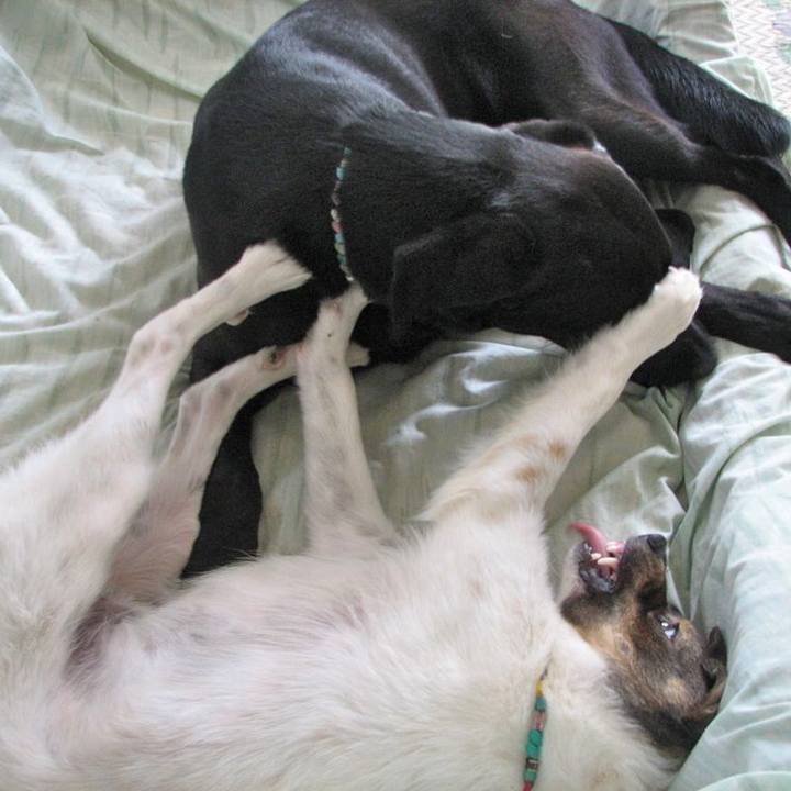 79fb3aba 1170 4a2d a815 9f97e16b5e30