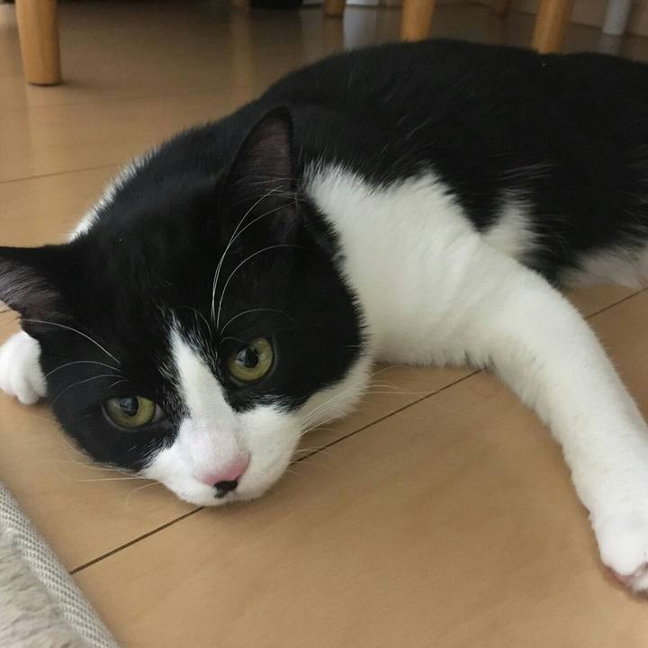 79fb3d6c dab3 4855 ab1a b0e62a0483bc