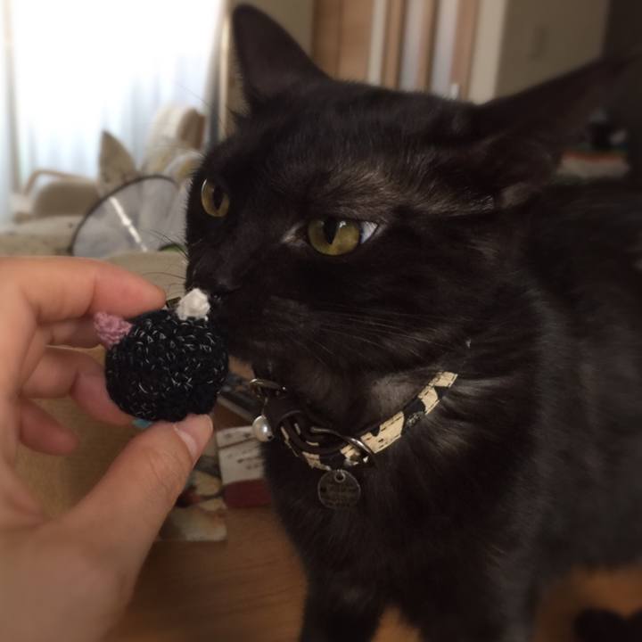 79fb77ff bdbf 4d7c 9ca3 d2b5a27a72e9