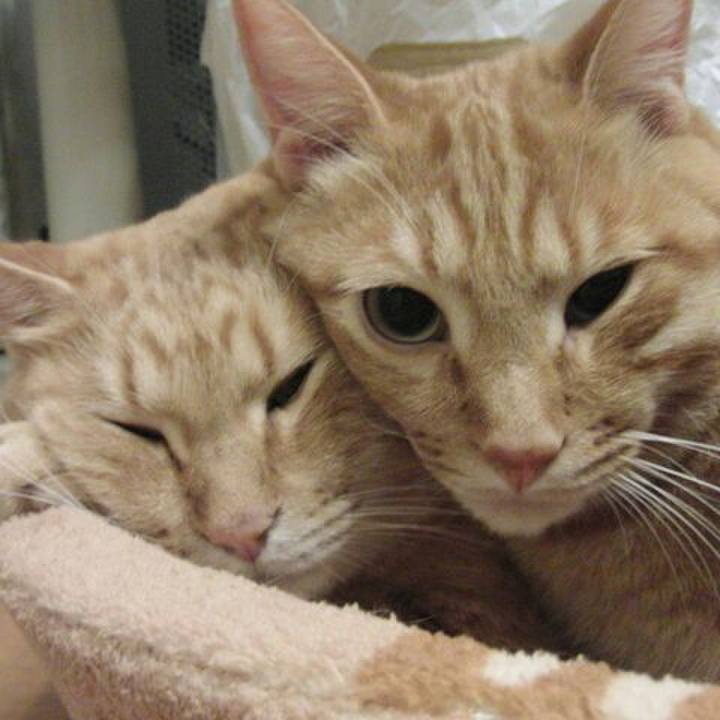 79fcb0af ddc8 41d4 9551 efc17647d4fd