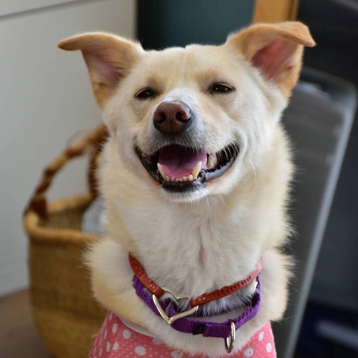 79fce668 5775 45d0 b197 2506f0350115