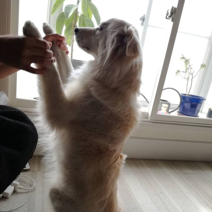 79fd006d ac3b 4928 af26 7ece19019faa