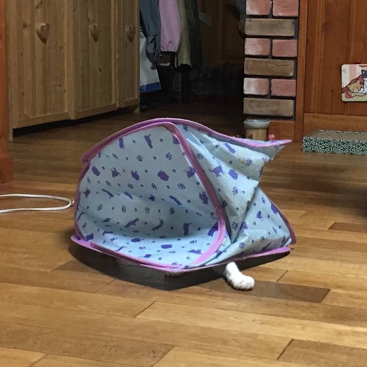 79fdc9f5 f75a 4df5 a015 2a34c54c522f