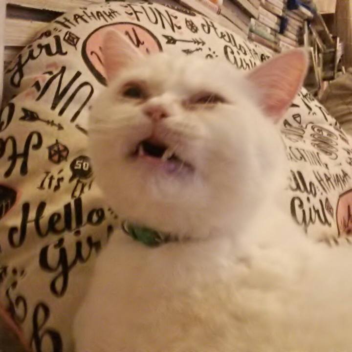 79fe0a71 17f5 453f a922 642061846214