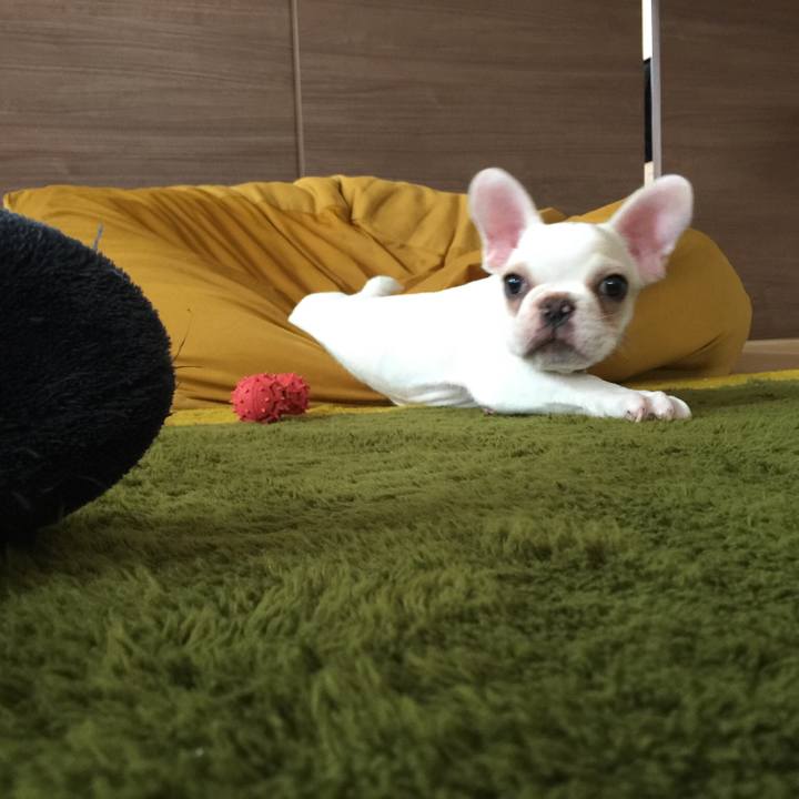 79fe7845 e0fe 4290 b286 c9808a0d4321