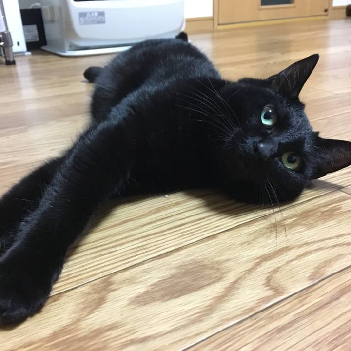 79fee1bc 327b 43db b8c7 29d6a941dad8