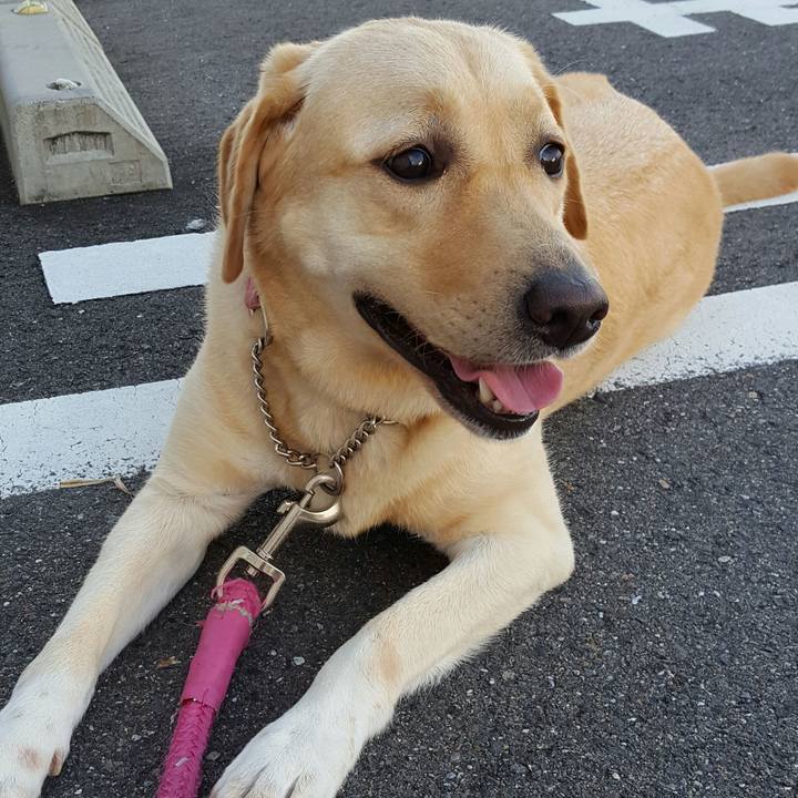 79ff1cf4 bd04 4c41 98bd 88eb76f419f3