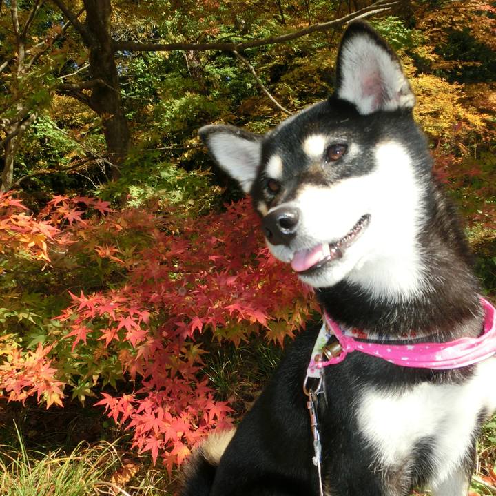 79ff24eb 88dc 421a a1e8 6139c3458a31