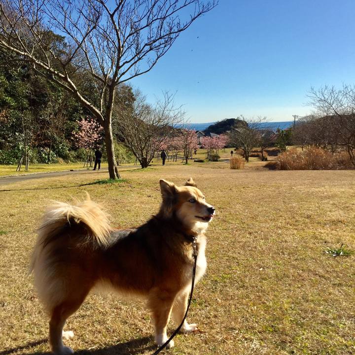 7a004d93 a1bb 4e46 b3c4 4efb3ca96466