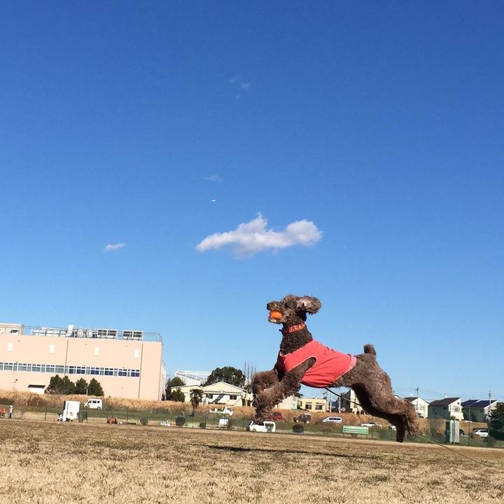 7a009806 2ffb 4a09 93b2 a698b9c1a90c