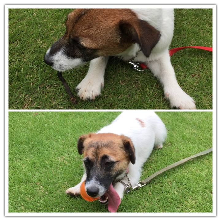 7a009f9f ab31 4096 a33d ab332b8c0dbd