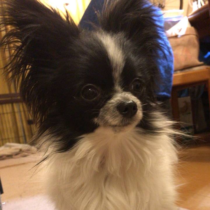 7a00f472 c867 4fd4 971c e02b05557bbf