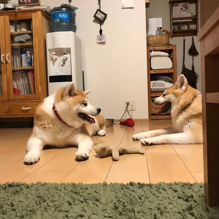 7a0110b1 e30d 41f2 abeb c58d2252bc7e