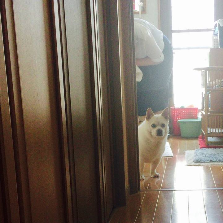 7a028d64 1fa0 4c43 a15d b39837e89342