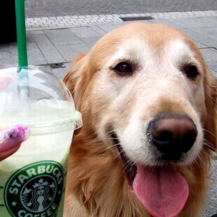 7a030082 f96a 46d7 ab17 715609d22749