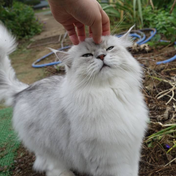 7a033691 5248 4cf6 93b0 0184b6f8ec8d