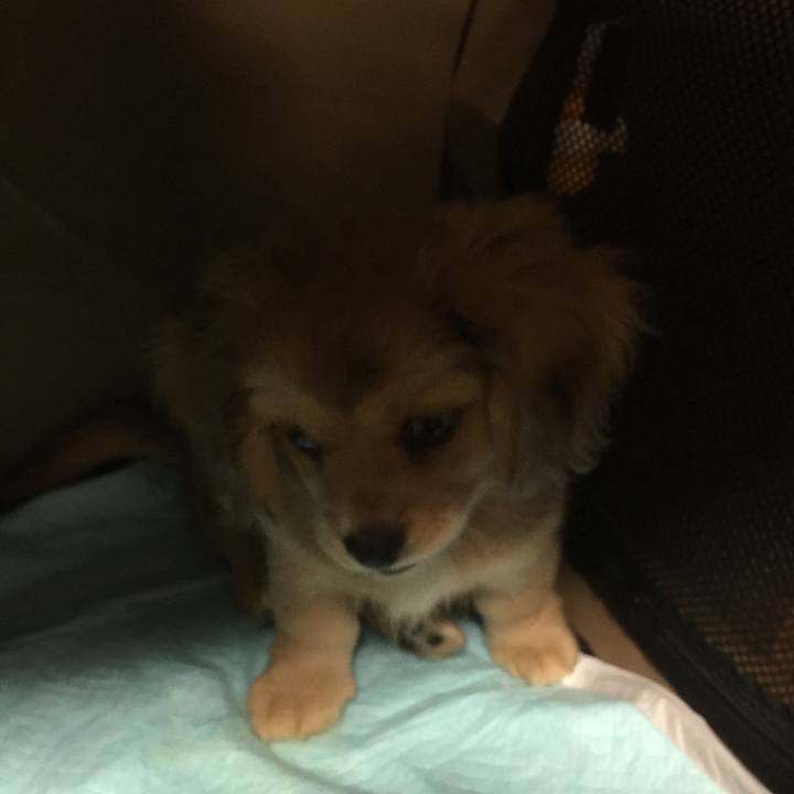 7a0372f5 1744 4611 83e8 6571e06bd101