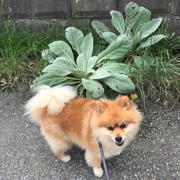 7a038cfa 52bc 433f b79b 88cfe8f823bb