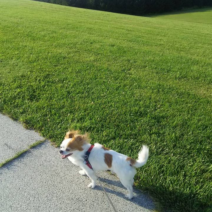 7a03e6c6 04ad 40ac b1f9 1cc75102b98d