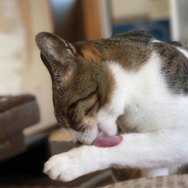 7a044d18 be8f 4ecc a03c 6dfc8d2c11e4