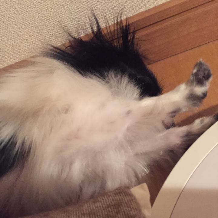 7a04831e 52df 439c 9c86 74cd31981d15