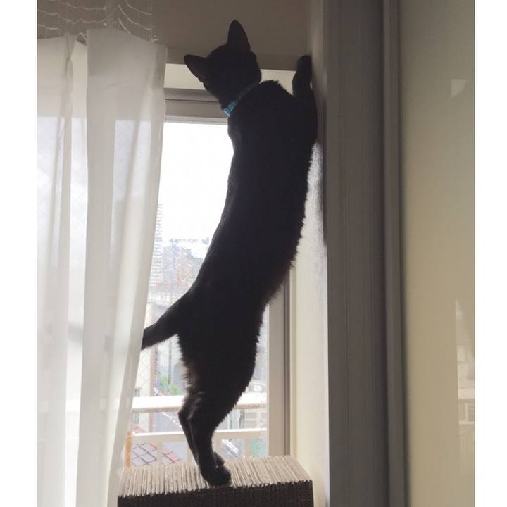 7a048f3d 8a93 493f a535 397469b95878