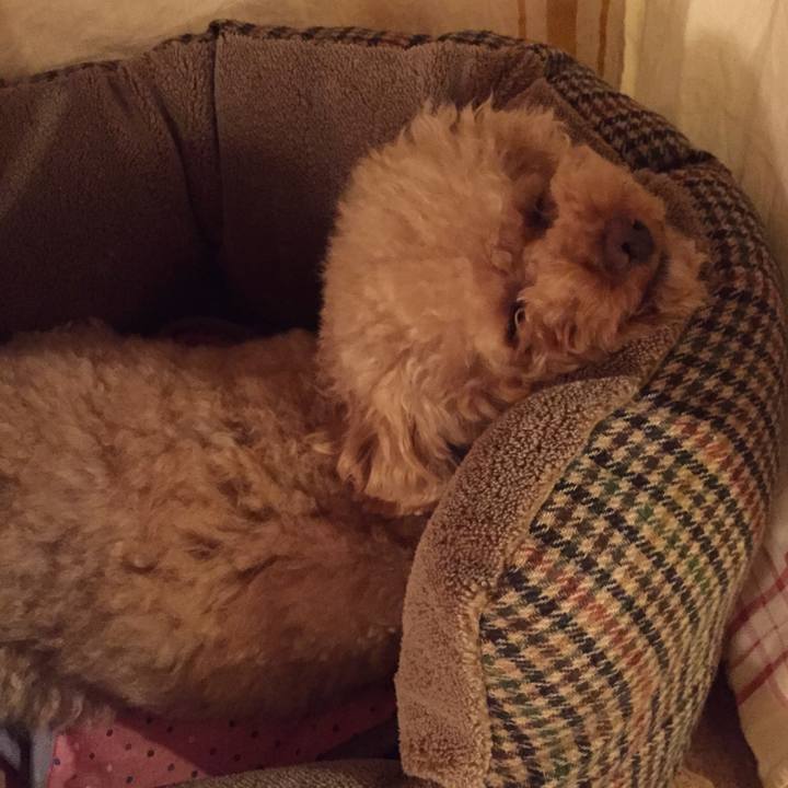 7a064a59 e068 4532 b33f 1ba659b4451e