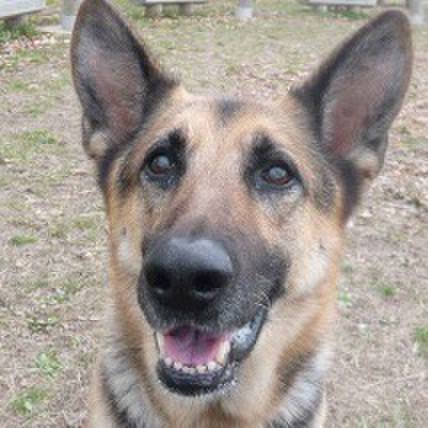 7a073b33 a559 442a 8b57 e5b6d06818dc