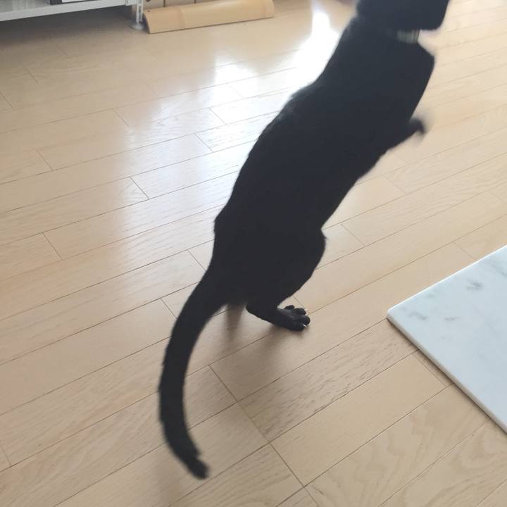 7a077ae7 d724 4af0 aaca 3e7626671043