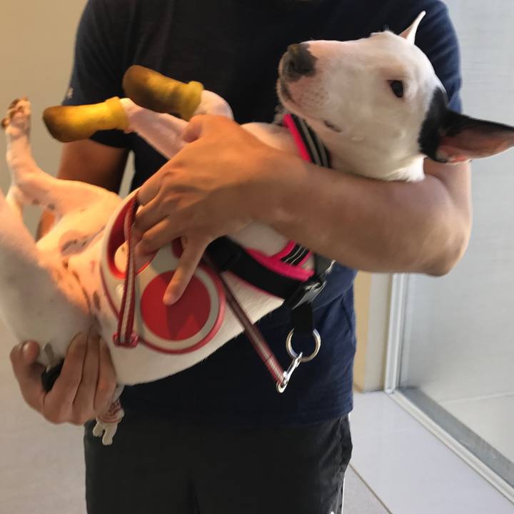 7a0798de 9fe5 4f34 b0a9 1488899d099b