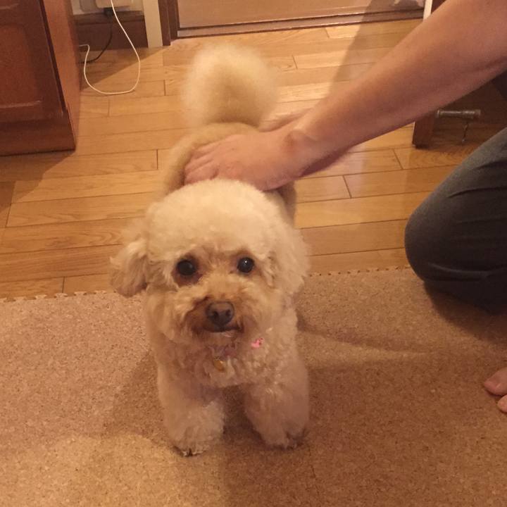 7a0812a7 162d 4d68 bd6a 8c27f38f30de