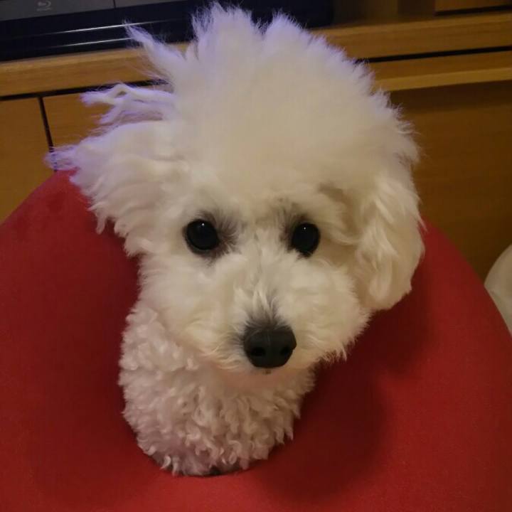 7a0855a2 628b 40df adc3 b3b8b77bf74f